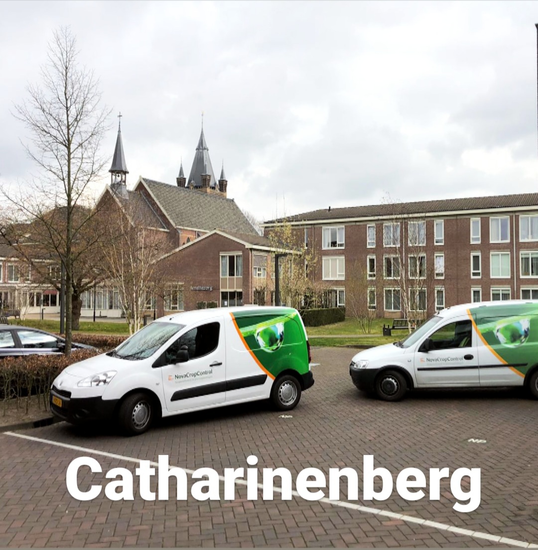 Catharinenberg2